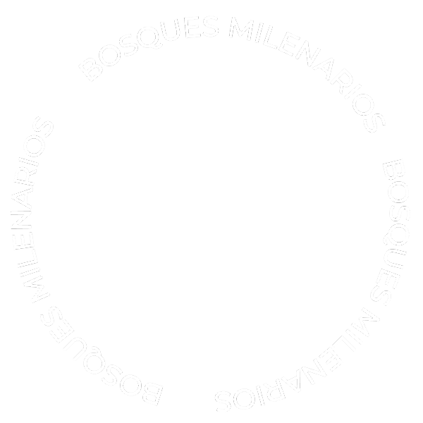 BOSQUES MILENARIOS